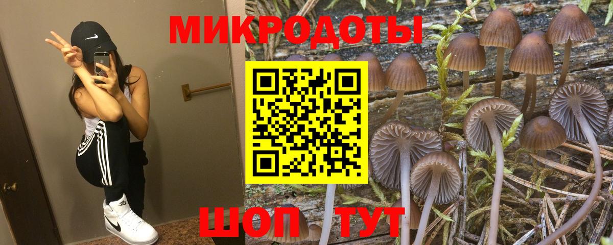 Псилоцибиновые грибы Magic Shrooms Грязи